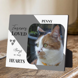 Plaque Photo Photo de chat Sympathie Cadeau souvenir Mémorial p