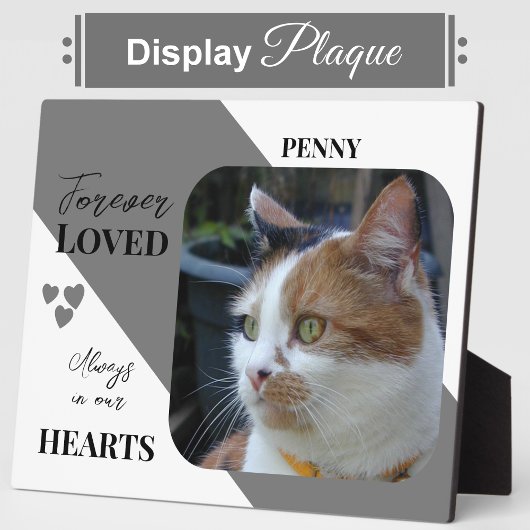 Plaque Photo Photo de chat Sympathy Keepsaké Pet Memorial gris