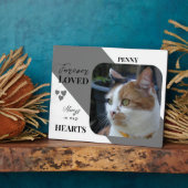 Plaque Photo Photo de chat Sympathy Keepsaké Pet Memorial gris (Côté)