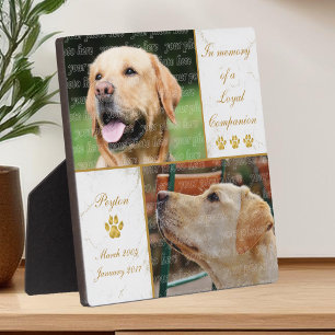Plaque Photo Photo de chien Loyal Companion Pet Keepsaké Memori
