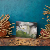 Plaque Photo Photo de la nature de la fleur (Côté)