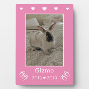 Plaque Photo Photo de lapin en mémoire d'un enfant Rose