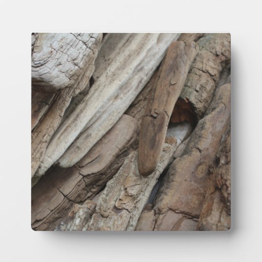 Plaque Photo Photo de Shoreline Driftwood (Devant)