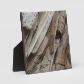 Plaque Photo Photo de Shoreline Driftwood (Recto)
