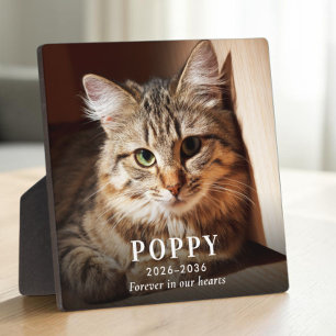 Plaque Photo Photo de souvenir personnalisé de chat