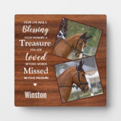 Plaque Photo Photo du Mémorial Rustique Horse (Devant)