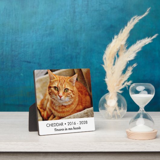 Plaque Photo Photo Mémorial de Chat À Tout Jamais Dans Nos Cœur (Insitu)
