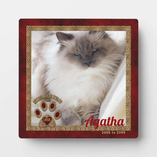 Plaque Photo Photo mémorial de chat himalayen (Devant)
