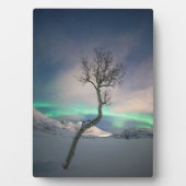 Plaque Photo Photo Northern Lights (Devant)