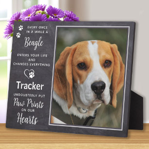 Plaque Photo Photo personnalisé Chien de compagnie Beagle Mémor