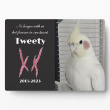 Photo personnalisé de cockatiel en mémoire 
