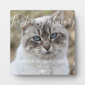 Plaque Photo Photo personnalisée Pet Cat Memorial Keepsaké Plaq (Devant)