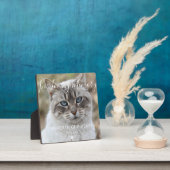 Plaque Photo Photo personnalisée Pet Cat Memorial Keepsaké Plaq (Insitu)