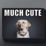 Plaque Photo Photo Personnalisée Pour Animaux De Compagnie Drôl<br><div class="desc">Créez un cadeau photo personnalisé amusant lorsque vous ajoutez votre propre photo à cette plaque d'affichage BEAUCOUP CUTE. Cette plaque de dessus de bureau ou de table est dans le style d'un mème internet avec l'expression BEAUCOUP CUTE en caractères gras blanc et noir sur le dessus de votre photo. C'est...</div>