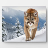 Plaque Photo Photo Plaque-Mountain Lion (Devant)