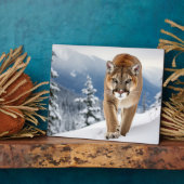Plaque Photo Photo Plaque-Mountain Lion (Côté)