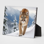 Plaque Photo Photo Plaque-Mountain Lion (Côté)