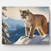 Plaque Photo Photo Plaque-Mountain Lion (Devant)