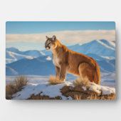 Plaque Photo Photo Plaque-Mountain Lion (Devant)