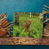 Plaque Photo Photo Plaque-Yellowstone Baby Deer (Côté)