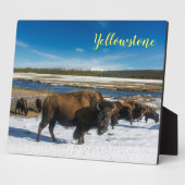 Plaque Photo Photo Plaque-Yellowstone Buffalo (Côté)