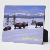 Plaque Photo Photo Plaque-Yellowstone Buffalo (Côté)