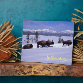 Plaque Photo Photo Plaque-Yellowstone Buffalo (Côté)
