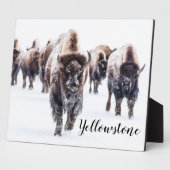 Plaque Photo Photo Plaque-Yellowstone Buffalo (Côté)