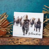 Plaque Photo Photo Plaque-Yellowstone Buffalo (Côté)
