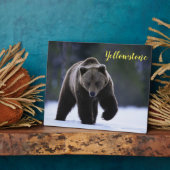 Plaque Photo Photo Plaque-Yellowstone Ours (Côté)