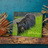 Plaque Photo Photo Plaque-Yellowstone Ours noir (Côté)