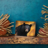 Plaque Photo Photo Plaque-Yellowstone Ours noir (Côté)