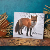 Plaque Photo Photo Plaque-Yellowstone Red Fox (Côté)