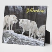 Plaque Photo Photo Plaque-Yellowstone Wolves (Côté)