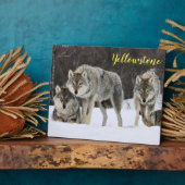 Plaque Photo Photo Plaque-Yellowstone Wolves (Côté)