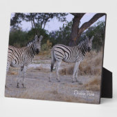 Plaque Photo Photo Zebra Double Take (Côté)