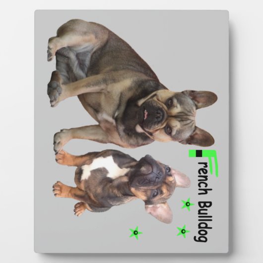 Plaque Photo Photoréserve de Bulldogen (Devant)