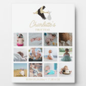 Plaque Photo Photos de la première année de bébé cigogne Stats  (Devant)