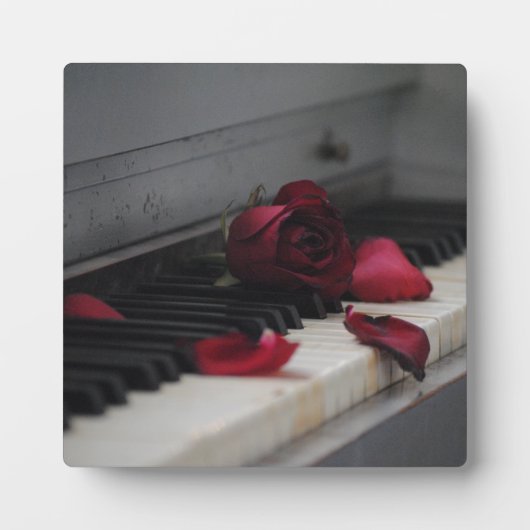 Plaque Photo Piano Keys (Devant)