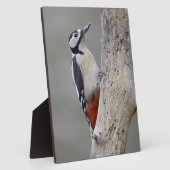 Plaque Photo Pic (Côté)