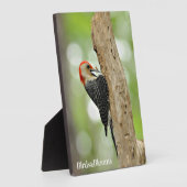 Plaque Photo Pic à ventre rouge (Côté)