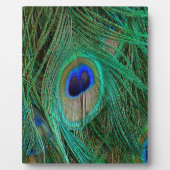 Plaque Photo Pic bleu indien (Devant)