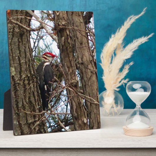 Plaque Photo Pic pilé (Côté)