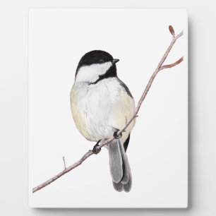 Plaque Photo Pickadee