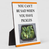 PLAQUE PHOTO PICKLES (Côté)