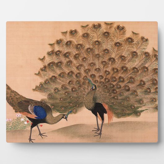 Plaque Photo Pics d'Asie vintage (Devant)