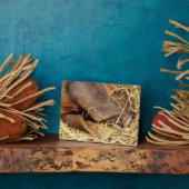 PLAQUE PHOTO PIÈCES (Côté)