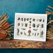 Plaque Photo Pièces séparées de l'armure d'un chevalier, assiet (Côté)