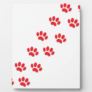 Plaque Photo Pieds de pattes de chat