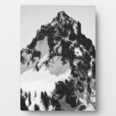 Plaque Photo Pierre, neige et arbres (Devant)